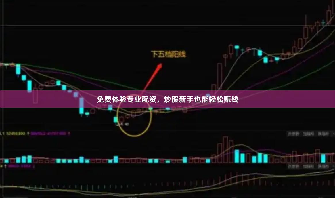 免费体验专业配资，炒股新手也能轻松赚钱