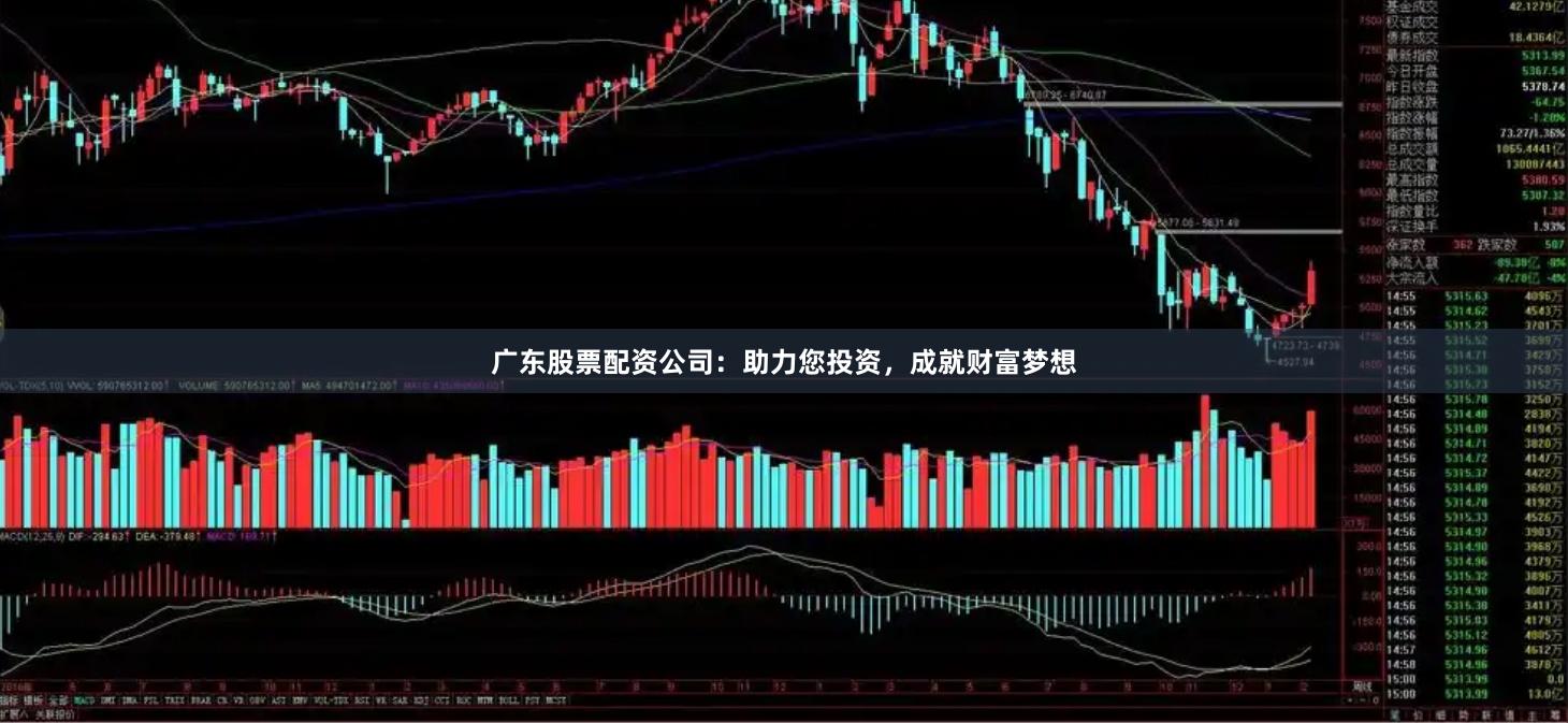 广东股票配资公司：助力您投资，成就财富梦想